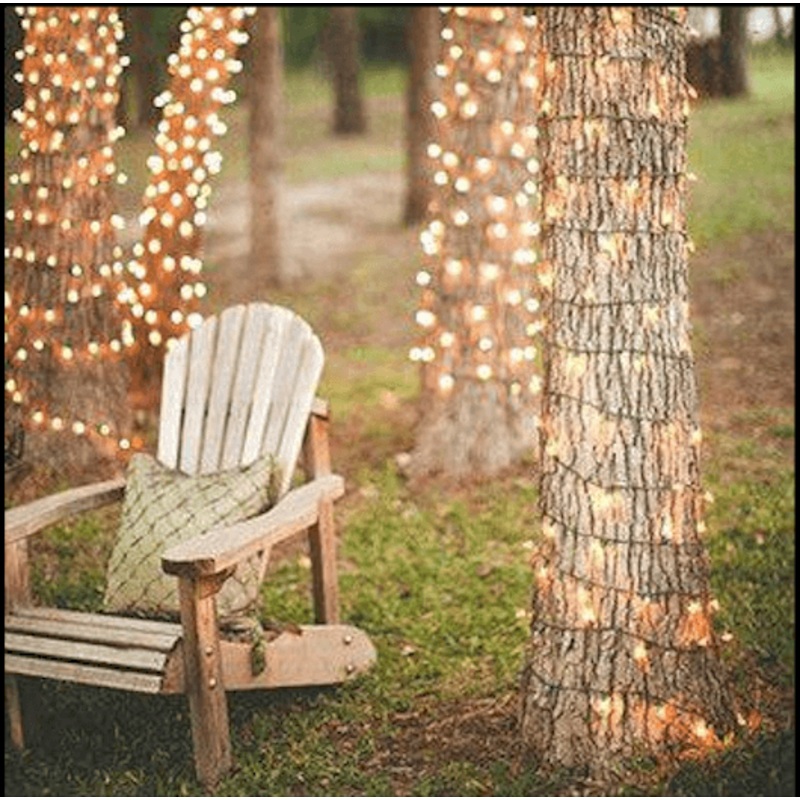 Solar-Powered LED Fairy Lights