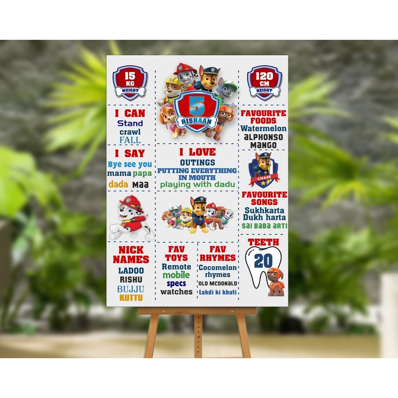 Paw Patrol Theme White CHalkboard