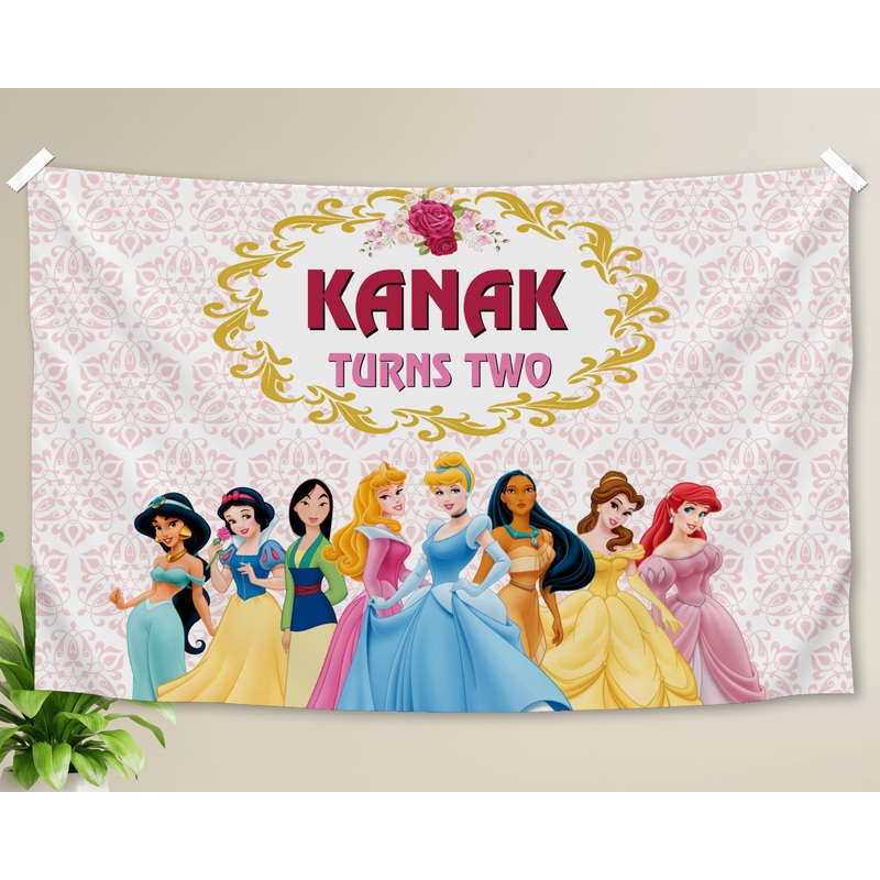 Princess Theme Backdrop