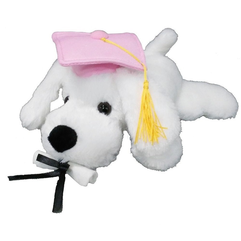 Plush Grad Dog Pink 9"