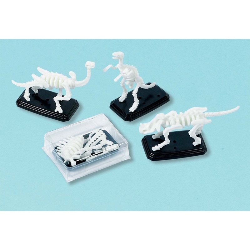 3D Fossil Puzzles
