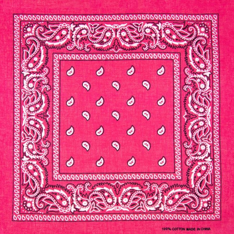 Pink Paisley Bandana