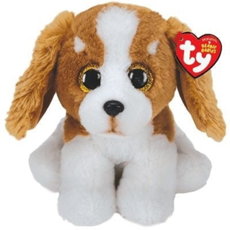 Ty - Barker Dog Regular
