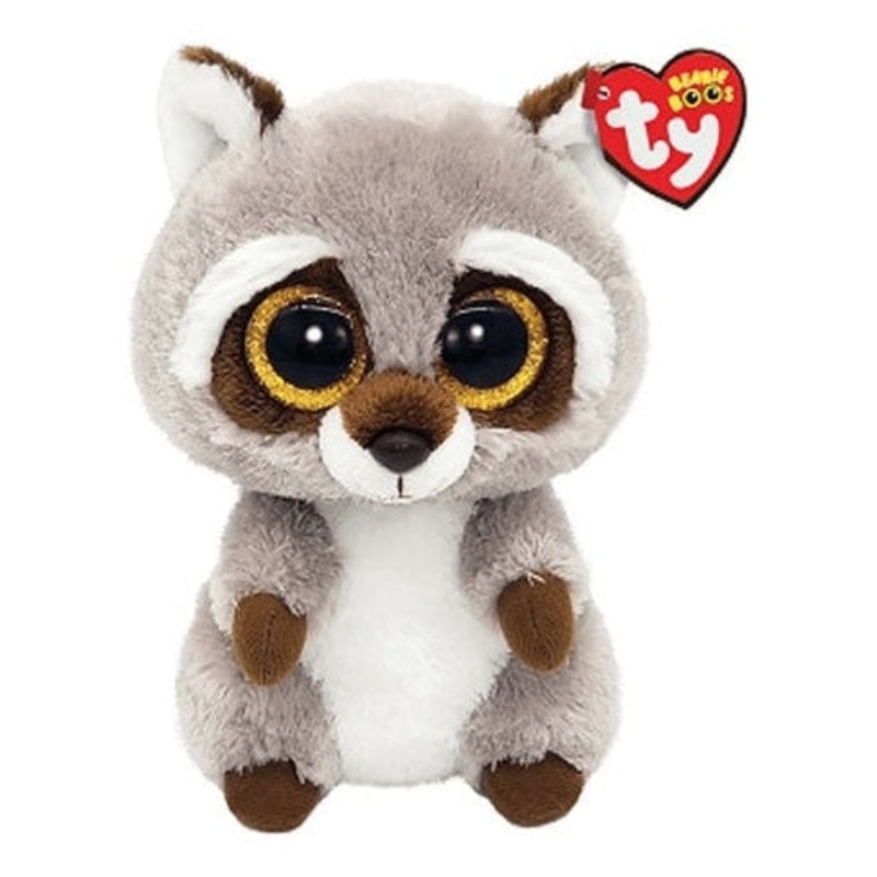 Ty - Oakie Raccoon Regular