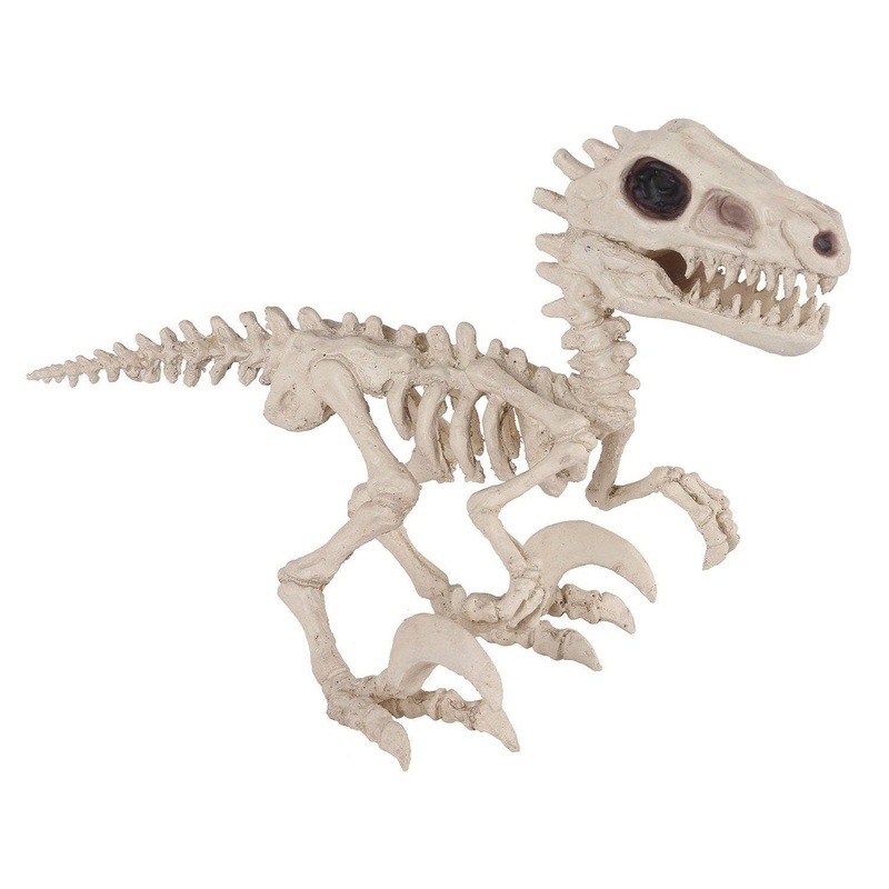 Prop - Skeleton Dino Raptor 5.5"