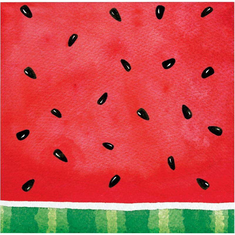 Watermelon Check Beverage Napkins 16 ct.