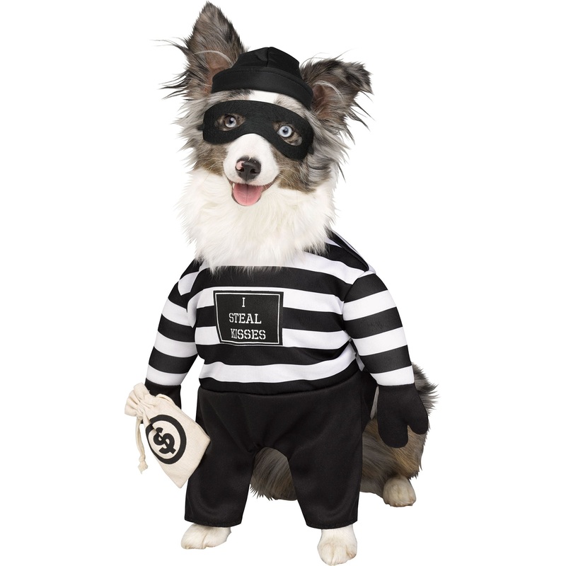 Robber Pup PET Costume