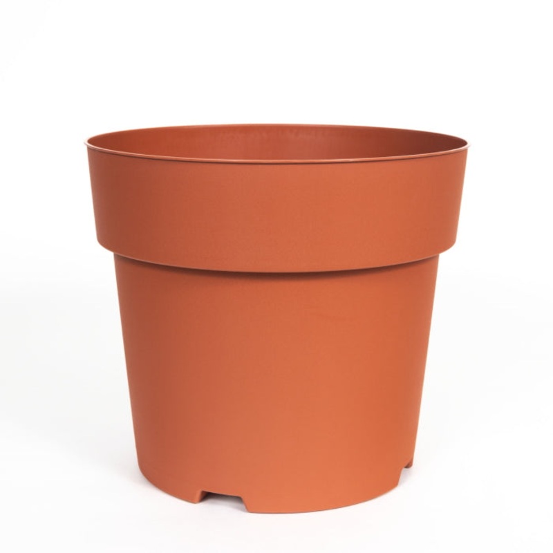 21cm Plastic House Plant Pot: Terracotta