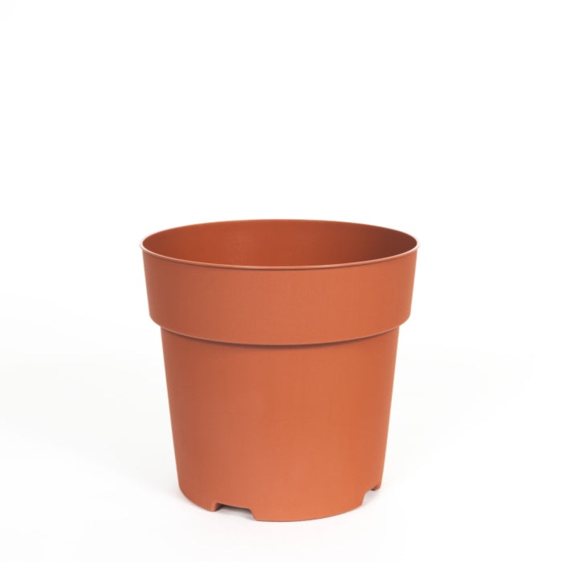 15cm Plastic House Plant Pot: Terracotta