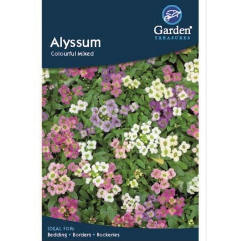 Alyssum Colourful Mixed Seeds: Flower Seeds