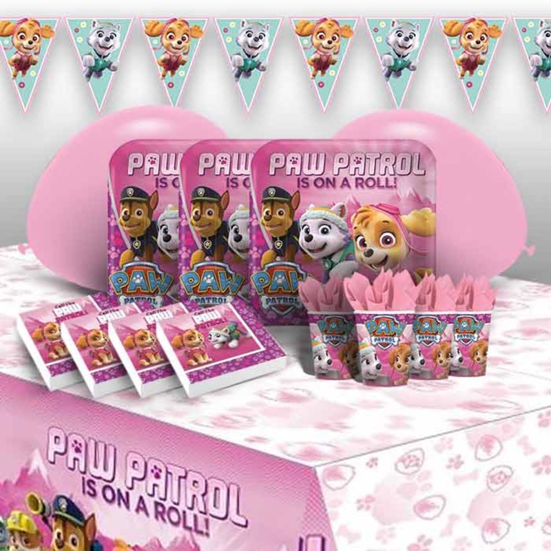 Paw Patrol Skye & Everest Party Pack & Decoration Kit