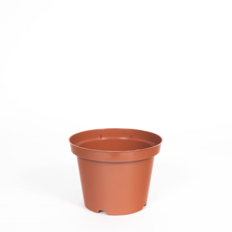 12cm Plastic House Plant Pot: Terracotta
