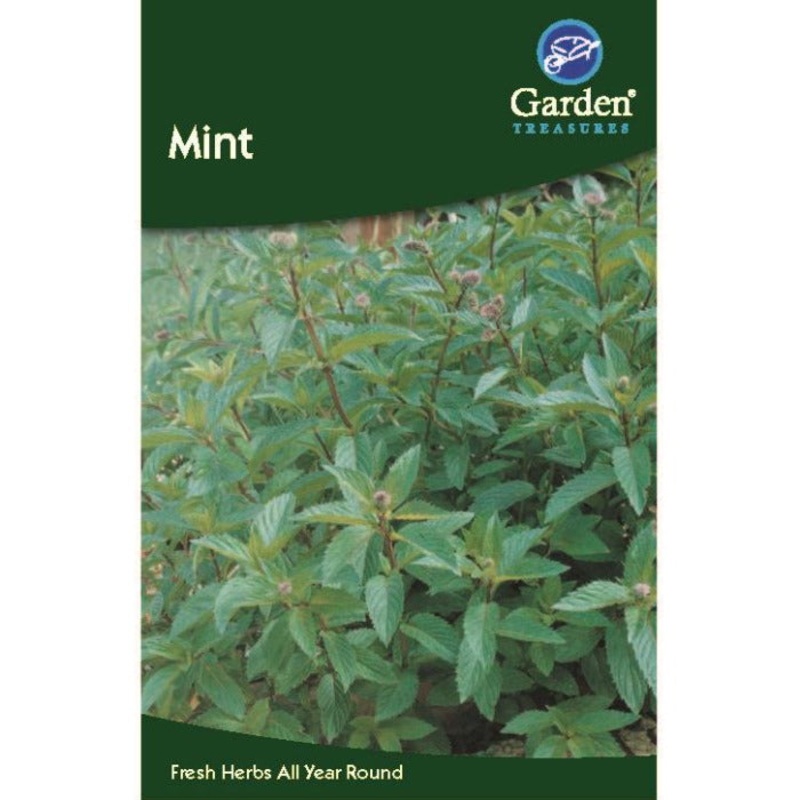 Mint Seeds: Herb Seeds