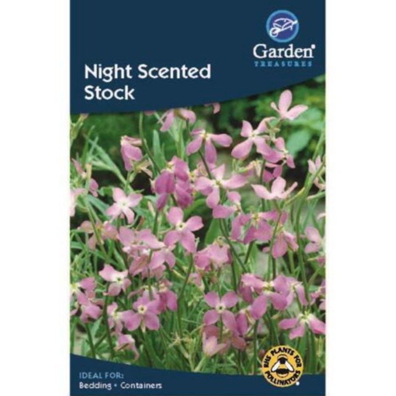 Night Scented Stock Seeds: Flower Seeds