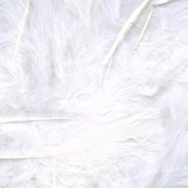 White Feathers for Crafting 8 grams