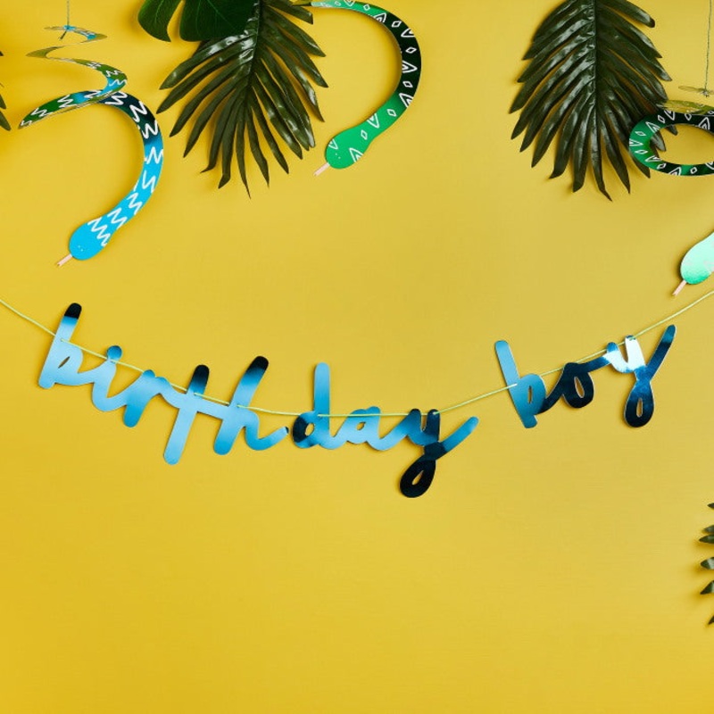 Blue Birthday Boy Banner 2 metres