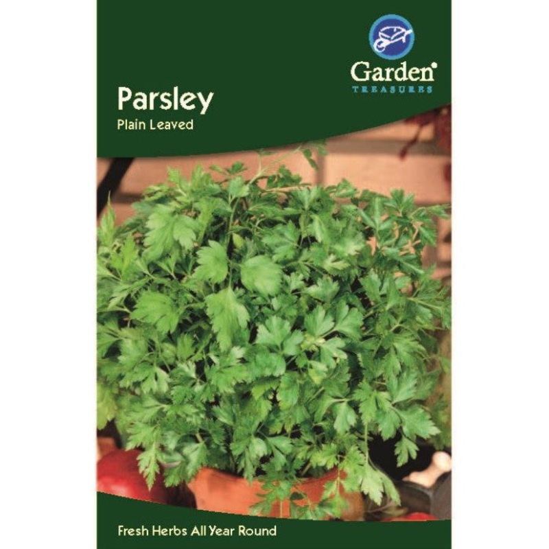 Parsley Plain Leaf Seeds: Herb Seeds