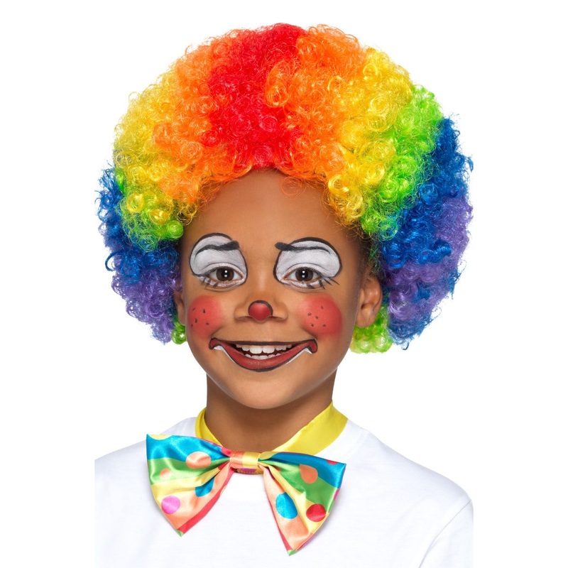Multi Coloured Clown Wig
