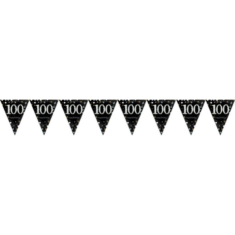 Sparkling Celebration 100 Prismatic Pennant Banner Plastic Each
