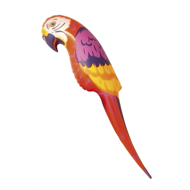 Multi Coloured Inflatable Parrot