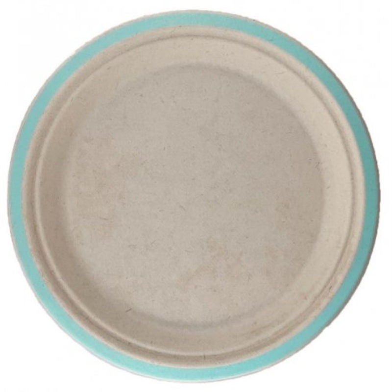 Mint Green Sugarcane Plate 230mm 10pk
