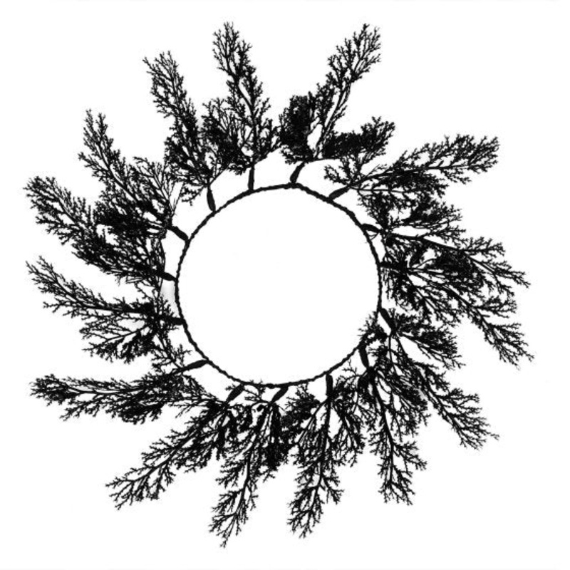 Deadly Soiree Black Foliage Table Placemats 40cm 4pk