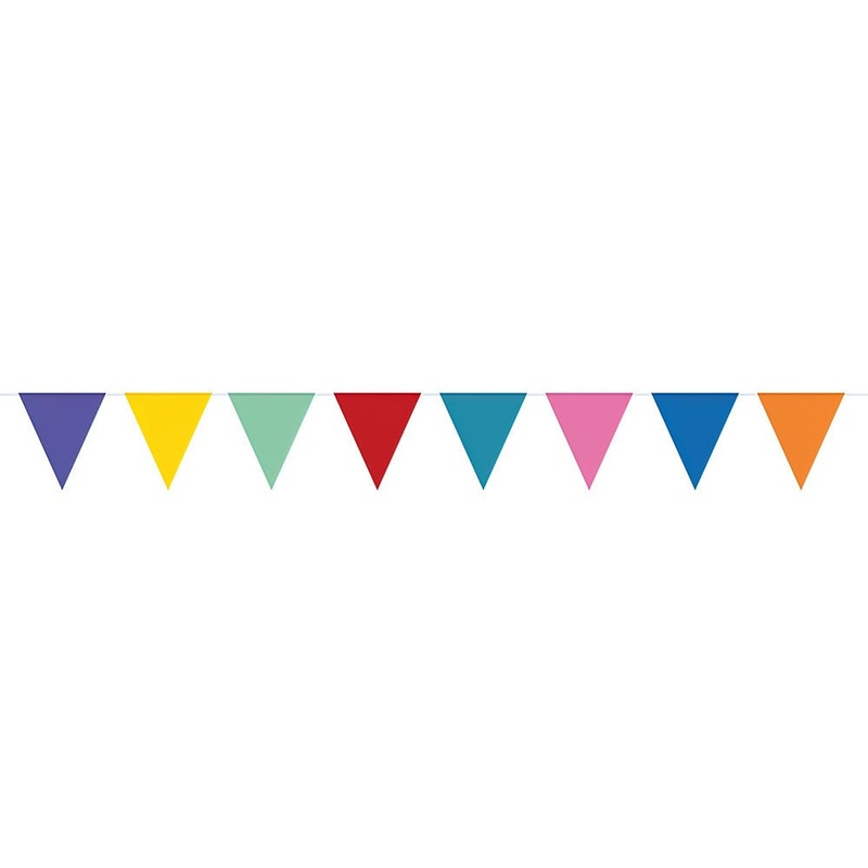 Pennant Garland Color Mix