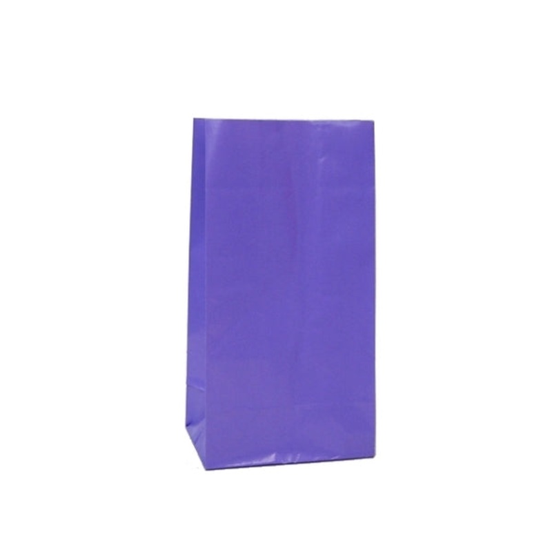 Party Bags | Paper | Purple | 12pk