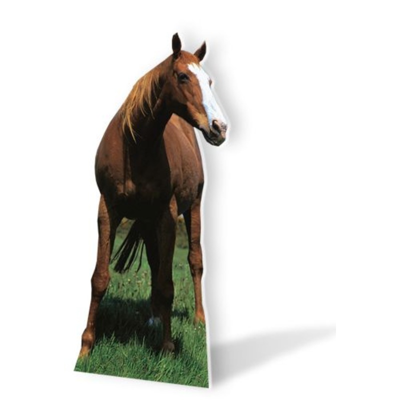 Mustang Western Horse Cardboard Cutout - 1.9m