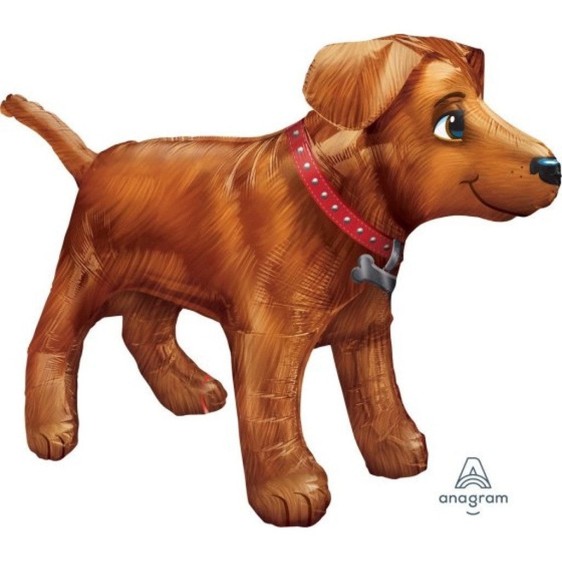UltraShape Golden Dog
