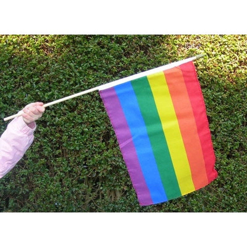 RAINBOW FLAG ON STICK 18X12""