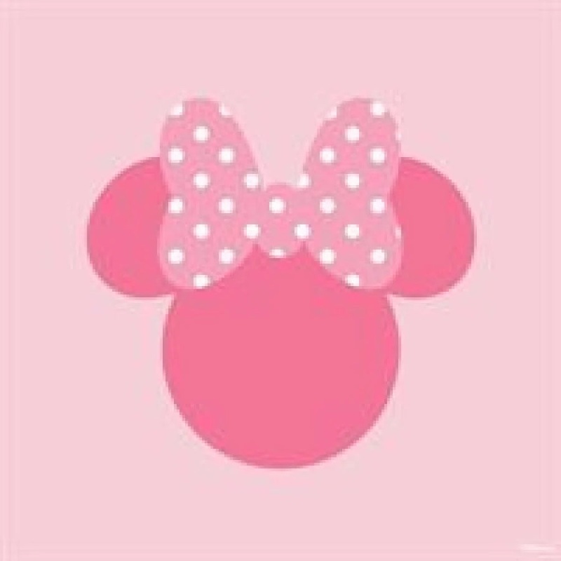 NAPKIN LNCH 20PK DSNY MIN