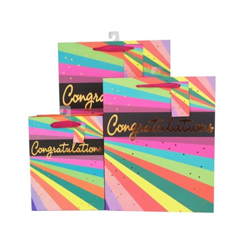 Neon Stripes Gift Bag Med 18X23X10CM