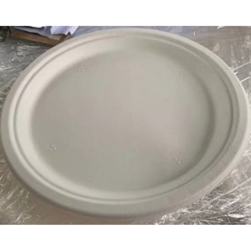 Sugarcane 10 Inch (260mm) Round Plates PK40