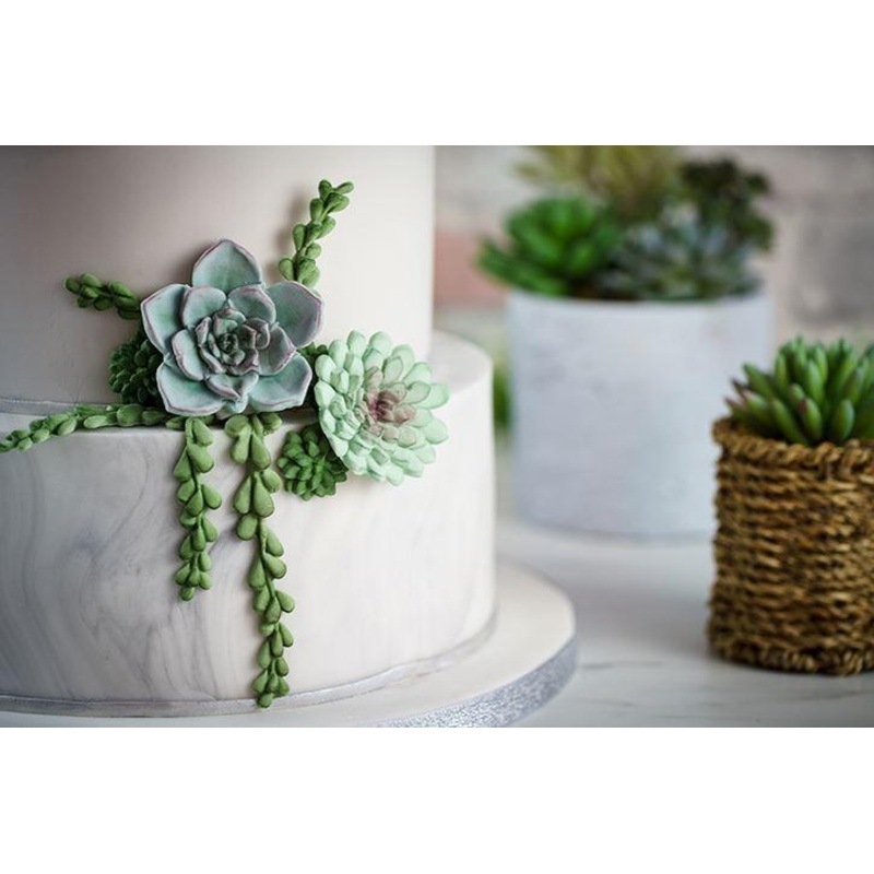 Mould Trailing Leaves Karen Davies- Last Chance