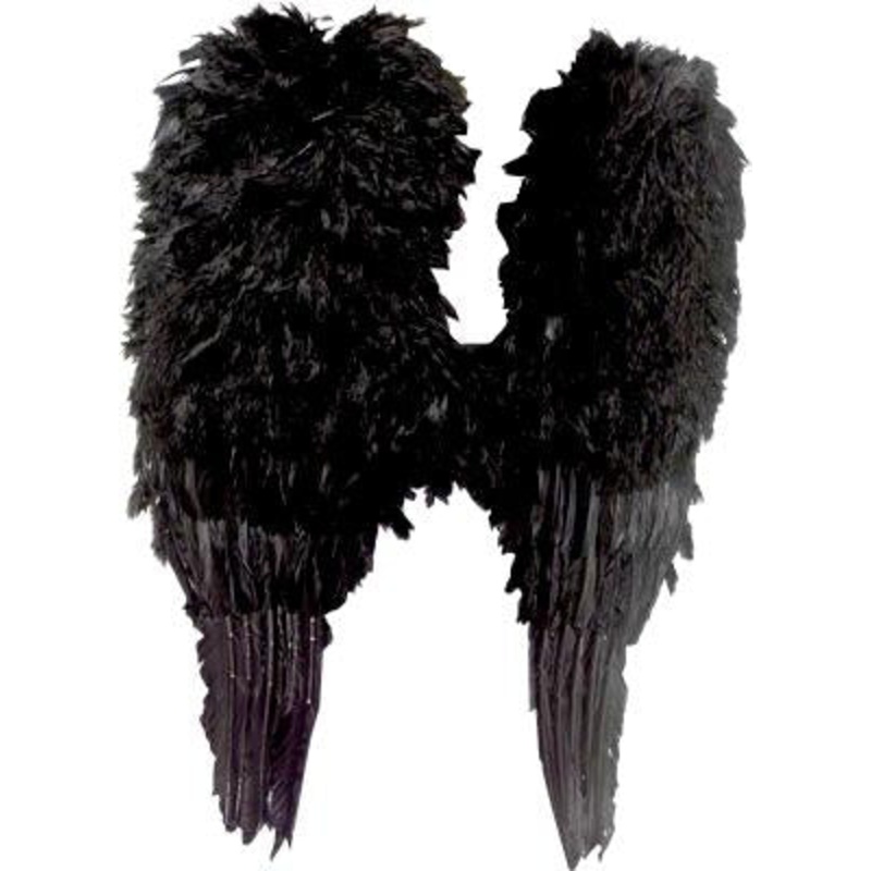 Wings Feather Large Black