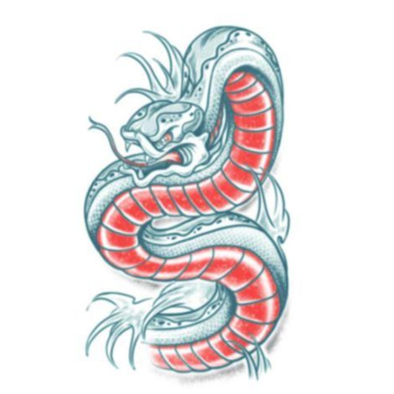 Temporary Tattoo Fx Biker Snake Tinsley