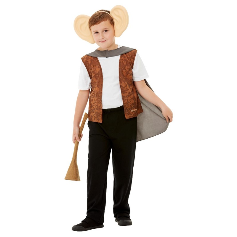 Roald Dahl BFG Kit