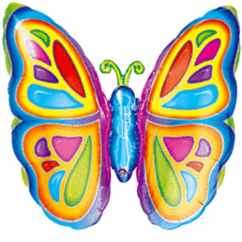 #249 Bright Butterfly 25in Supershape