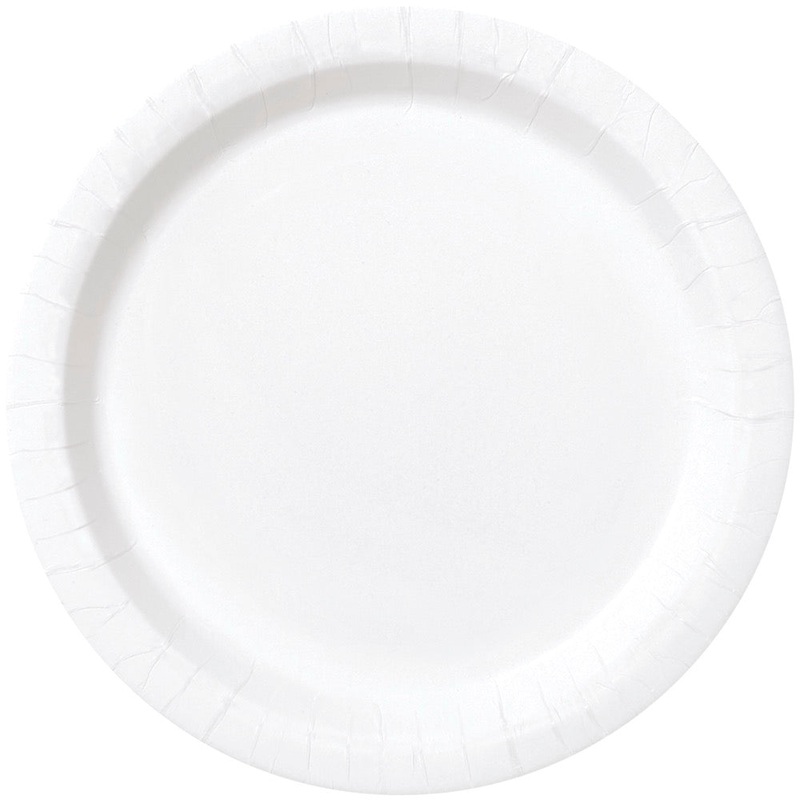 White Round 10in Dinner Plates