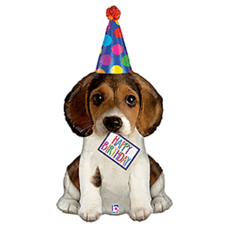 #036 Birthday Puppy 37in Supershape
