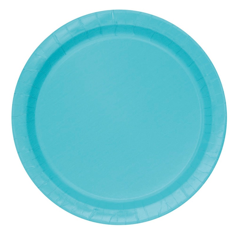 Teal Round 9in Dinner Plates 16ct
